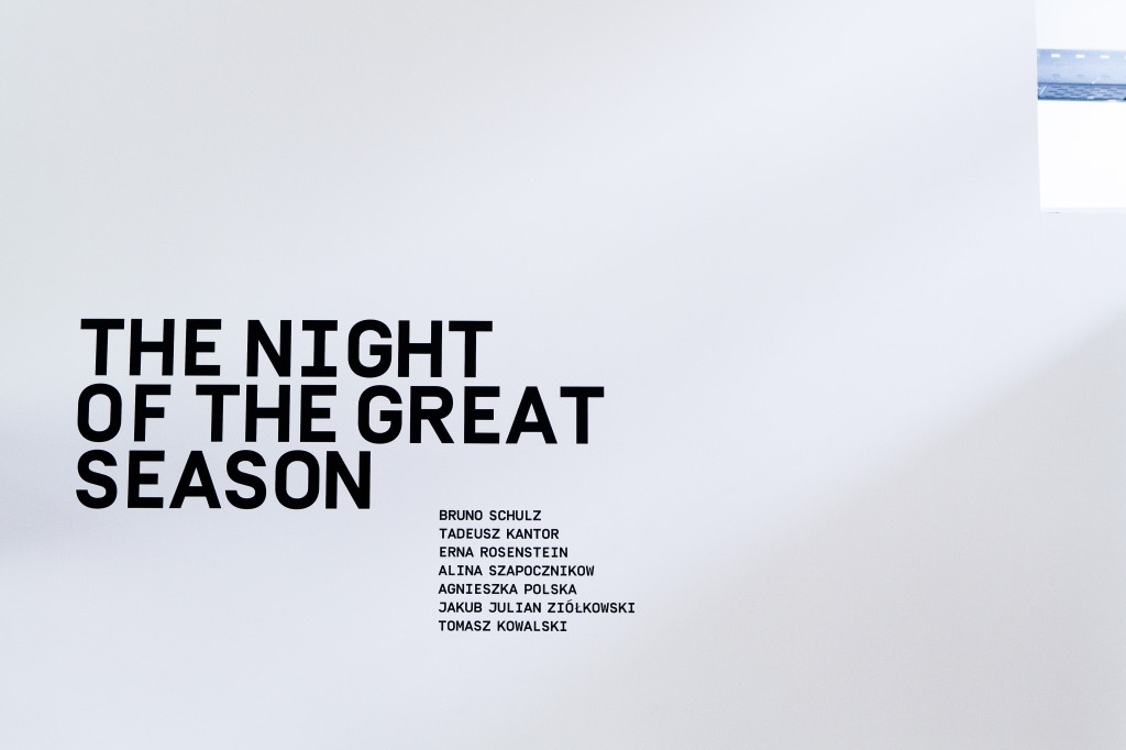 Mulhouse - Kunsthalle - The Night of the Great Season (54)