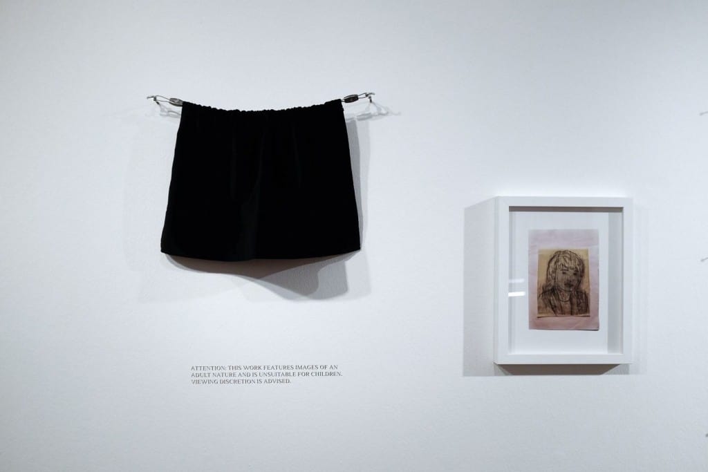 Sputnik Photos, exhibition view: ‘Hunter’ at the Derby Museum and Art Gallery, FORMAT International Photography Festival 2015, photo Michał Łuczak