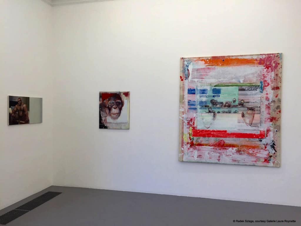 Radek SZLAGA, The Heart, exhibition view, courtesy Galerie Laure Roynette 