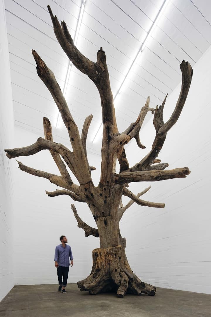 Ai Weiwei, Tree, 2009-2010, Photo. NOSHE, Gallery Weekend Berlin, 2015, Boros Collection / Bunker 