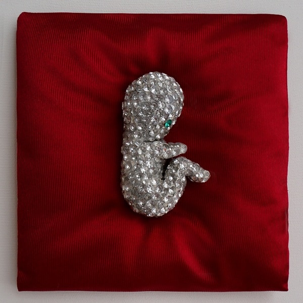 Ada Karczmarczyk Embryo, 2012 courtesy of the artist 