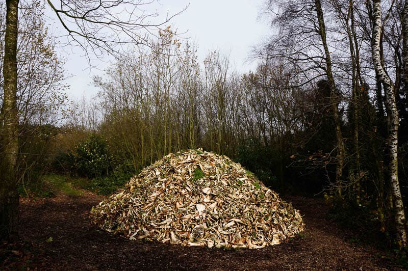 Herman de Vries, In Memoriam de Koien, 2015, The Verbeke Foundation. Photo by Marek Wolynski