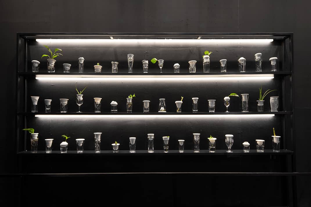 Alicja Patanowska, installation Plantation installation, Shanghai, image courtesy artist