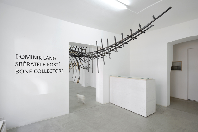 Dominik Lang, 'Bone Collectors', exhibition view, photo Ondřej Polák and courtesy of hunt kastner