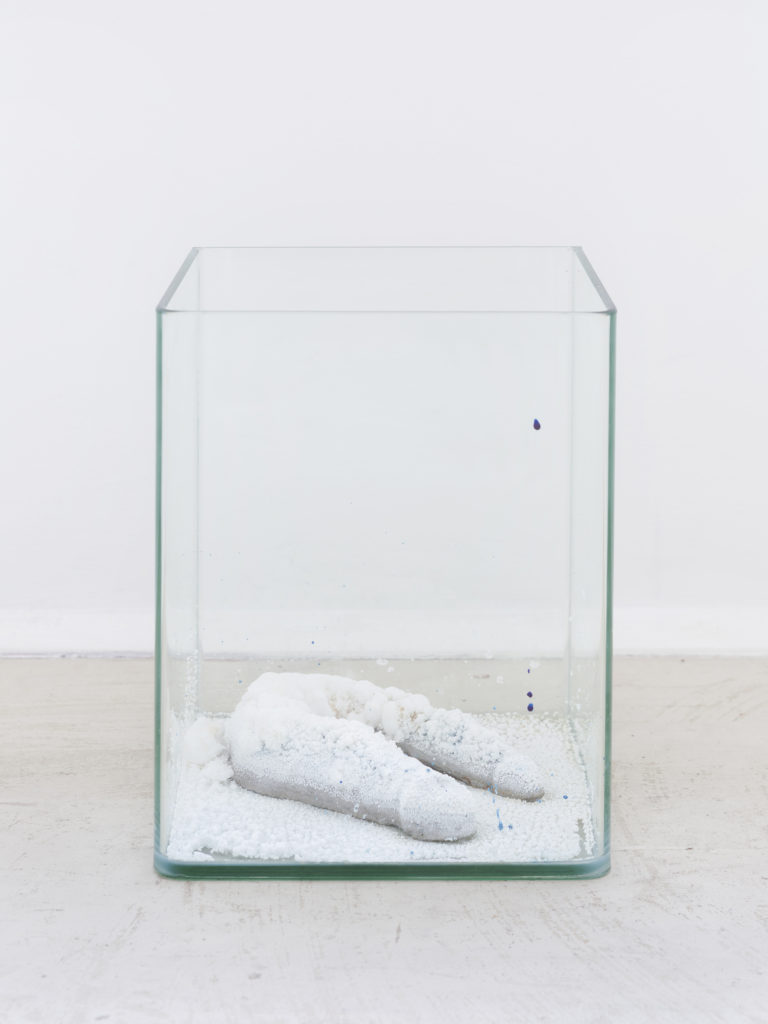 Alix Marie, Pharmacopornographic Relic, 2017. Concrete cast of double dildo with salt crystals in glass aquarium, 25 x 25 x 25 cm, unique. Courtesy of Roman Road and the artist. © Ollie Hammick