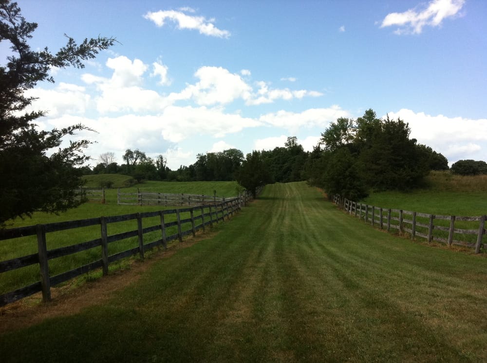 Pastoral Land in Clermont residency