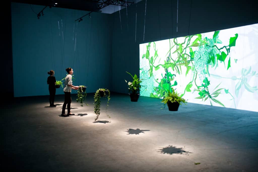 Eau de Jardin at exhibition “Wonderful Life” in CCA LAZNIA, Christa Sommerer and Laurent Mignonneau, 2012, photo Krzysztof Miękus