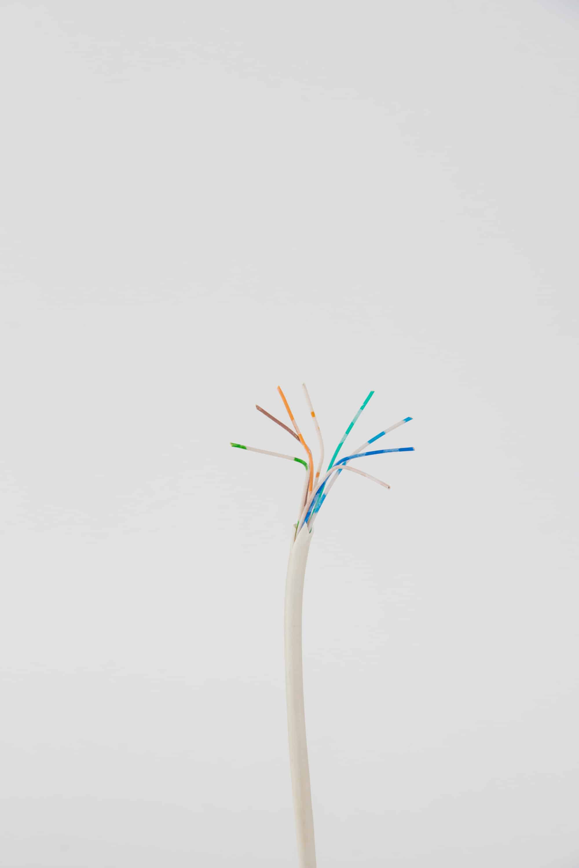 'Cable', Courtesy of Natalia Podgorska. Part of the series “Stockholm Syndrome”.