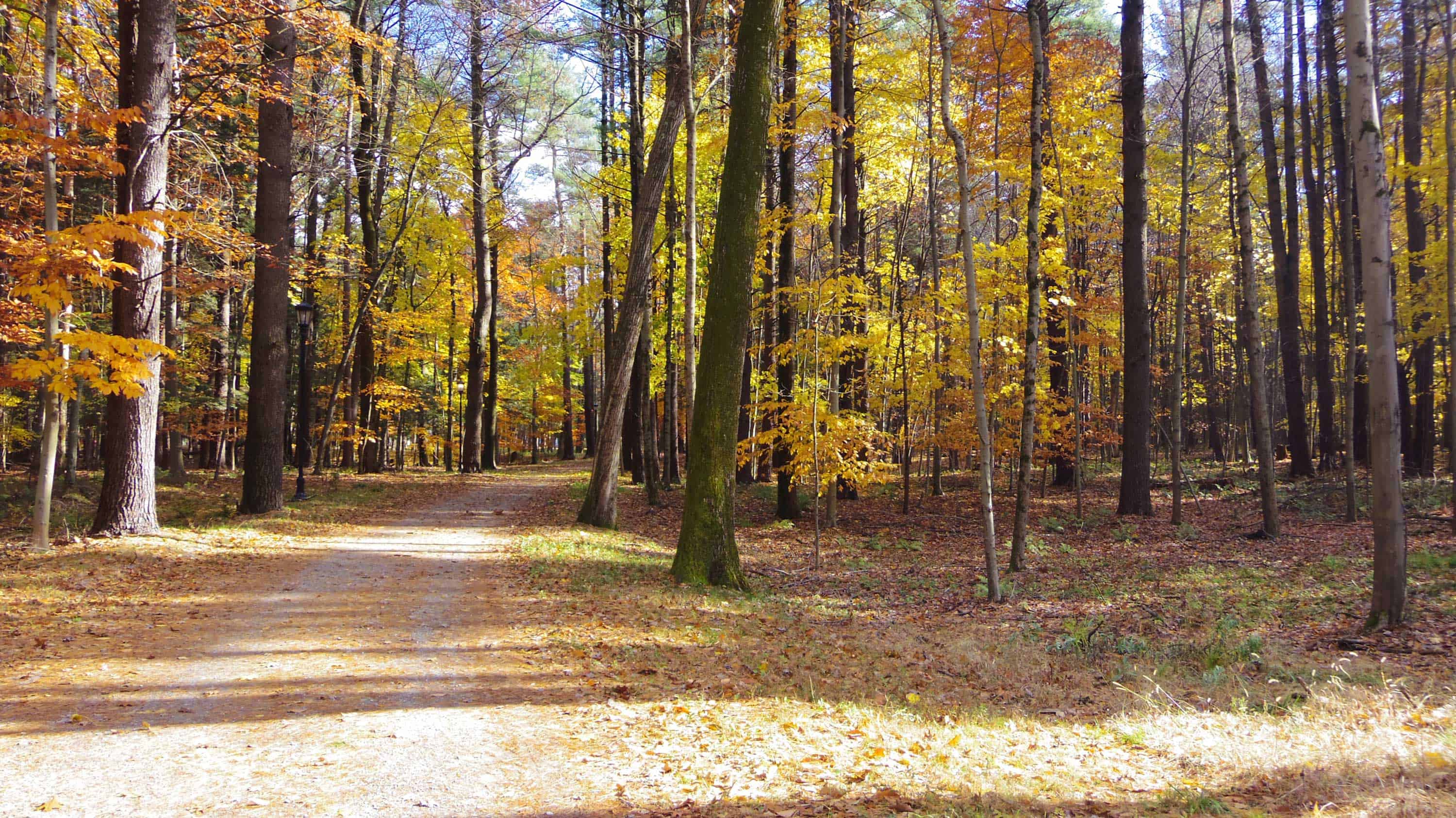 Yaddo art residency