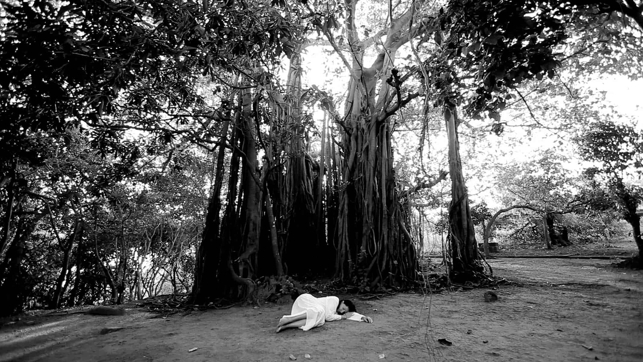 Marina Abramović, "Sleeping Under the Banyan Tree", Performans dokamerowy, 2010, © Marina Abramović, Dzięki uprzejmości Archiwum Mariny Abramović