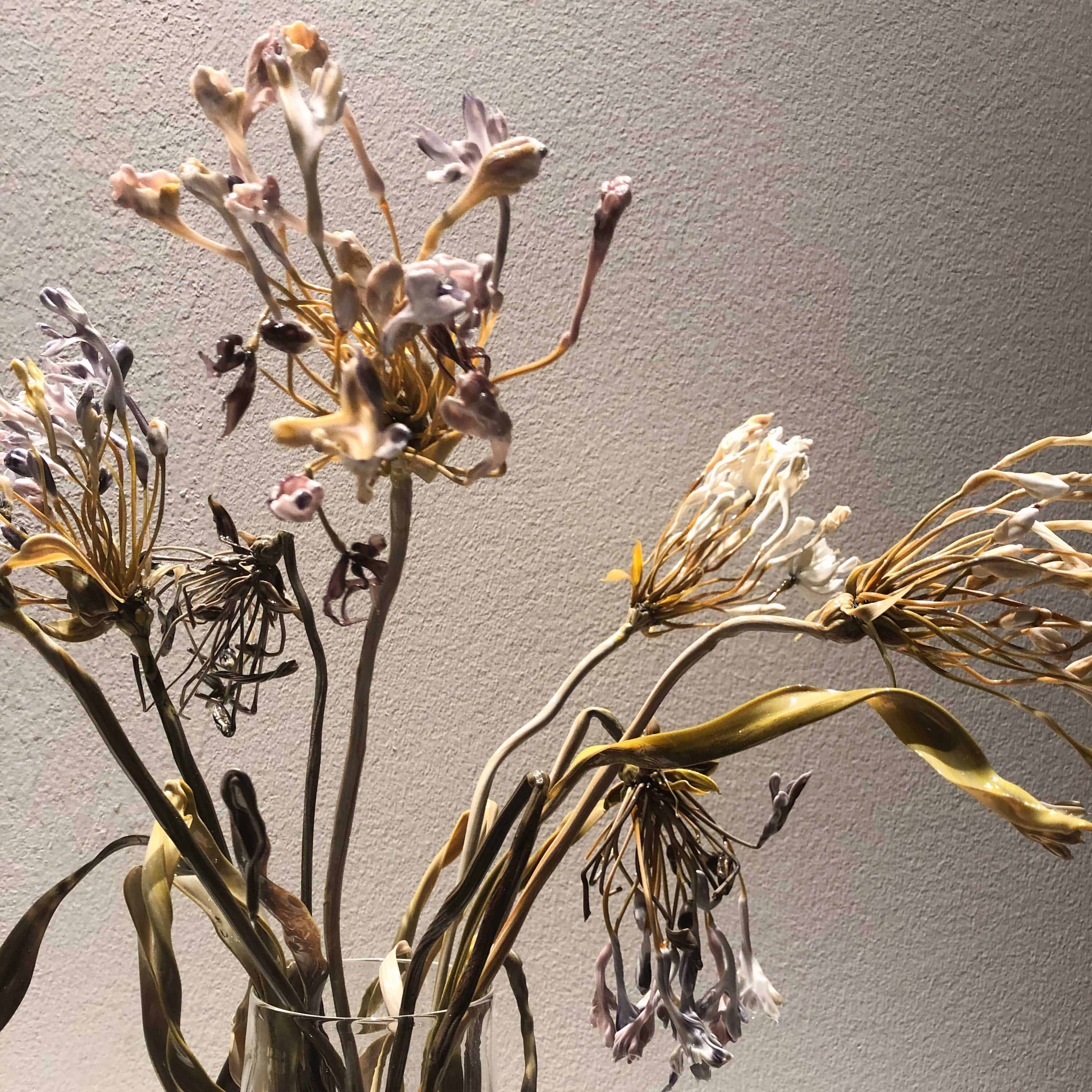 Caterina Tognon with-'Agapanthus' by Lilla Tabasso