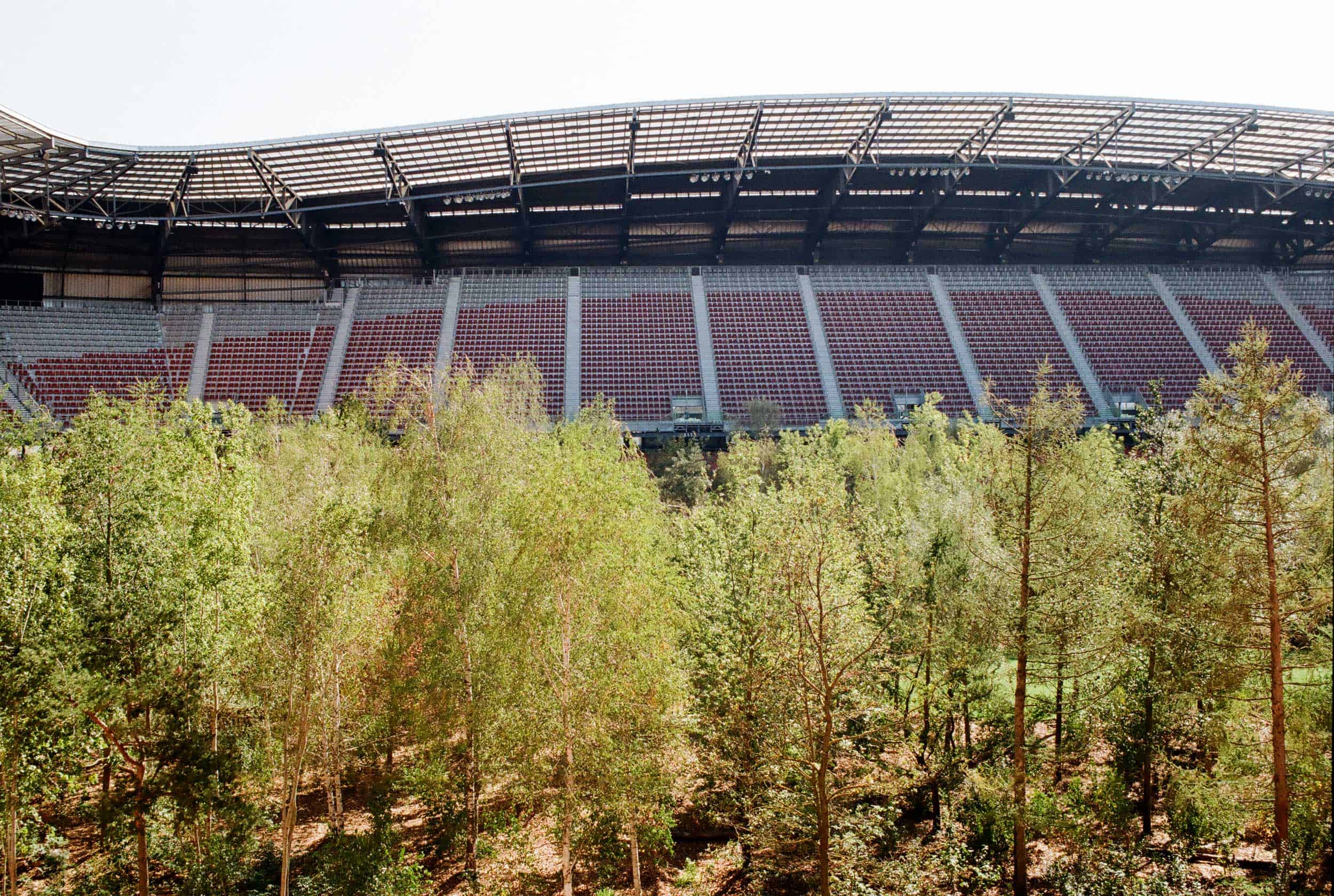 For Forest, Klagenfurt, Photo: Patrycja Głusiec