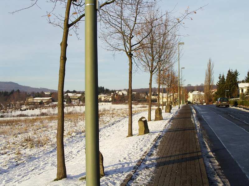 Kassel, Joseph Beuys, 7000 Eichen - Stadtverwaldung statt Stadtverwaltung