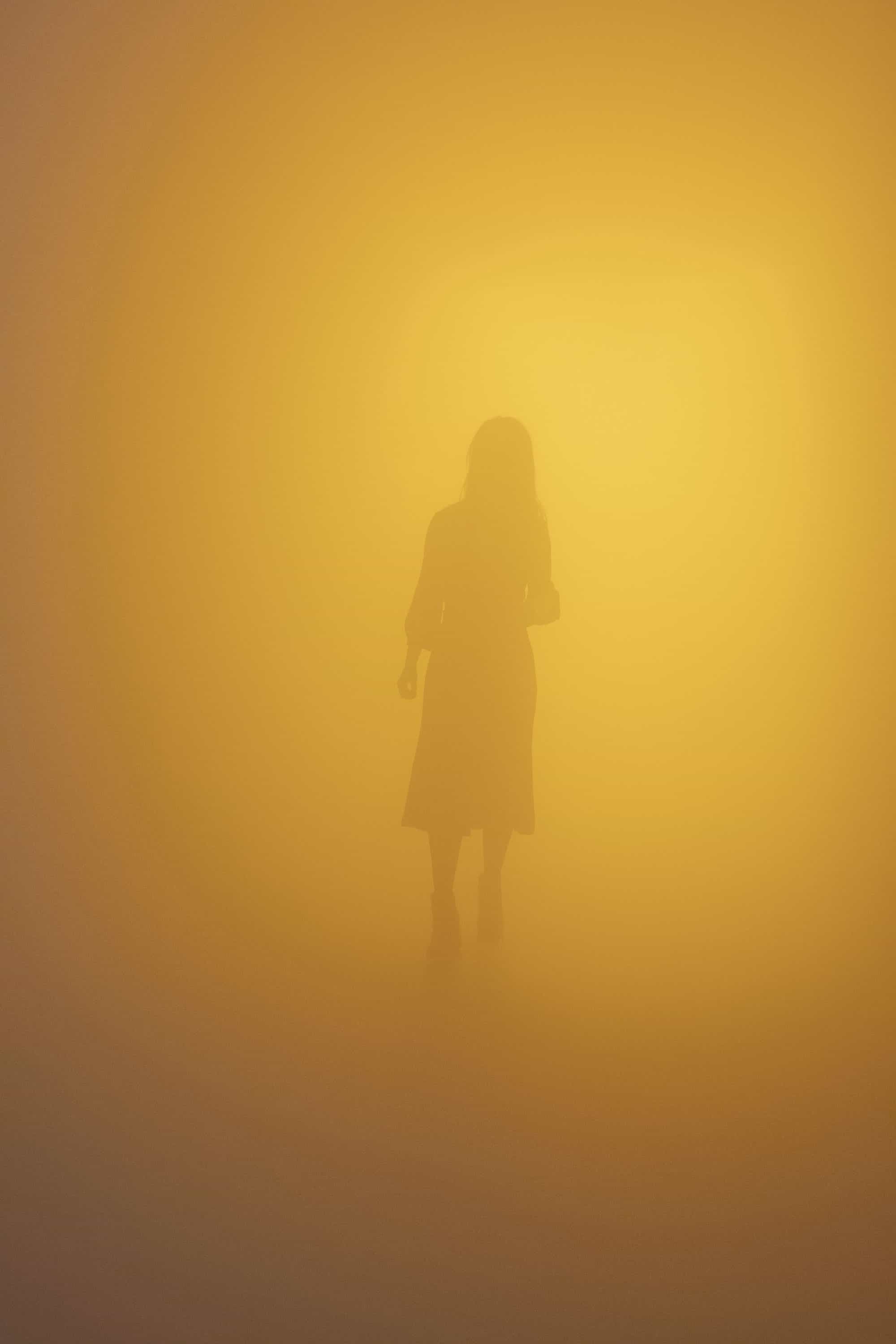 Olafur Eliasson, Your Blind Passenger