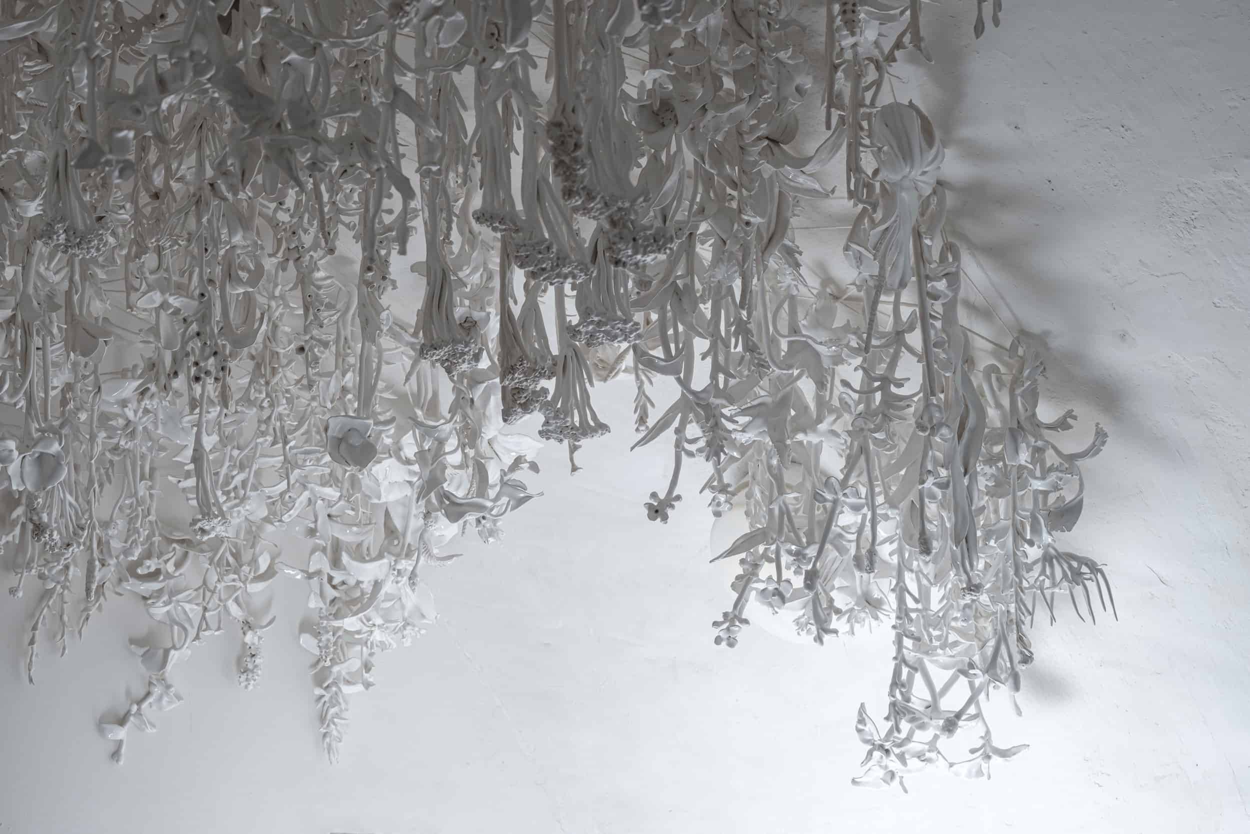 Wojciech Ireneusz Sobczak, Weed Atlas, exhibition view, Labitynt Gallery, Lublin, 2019, photo: B. Górka