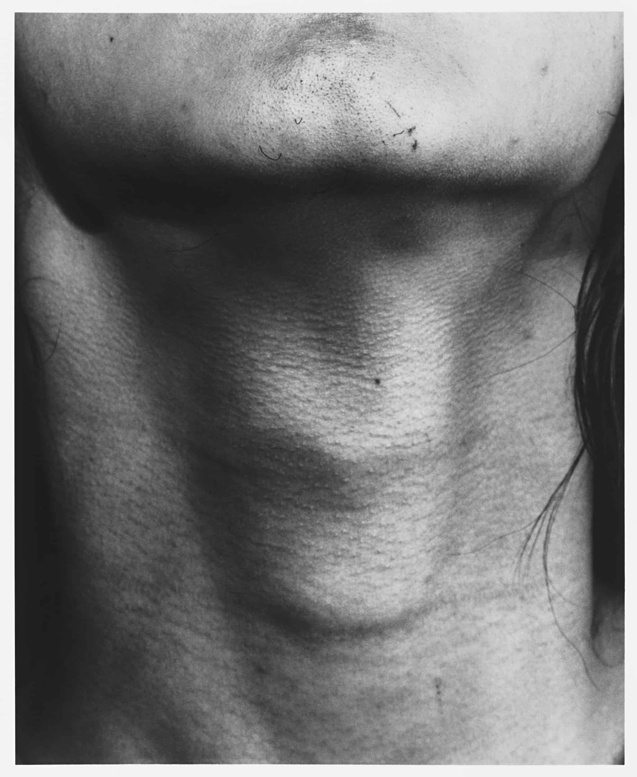 Sam Contis, Untitled (Neck), 2015