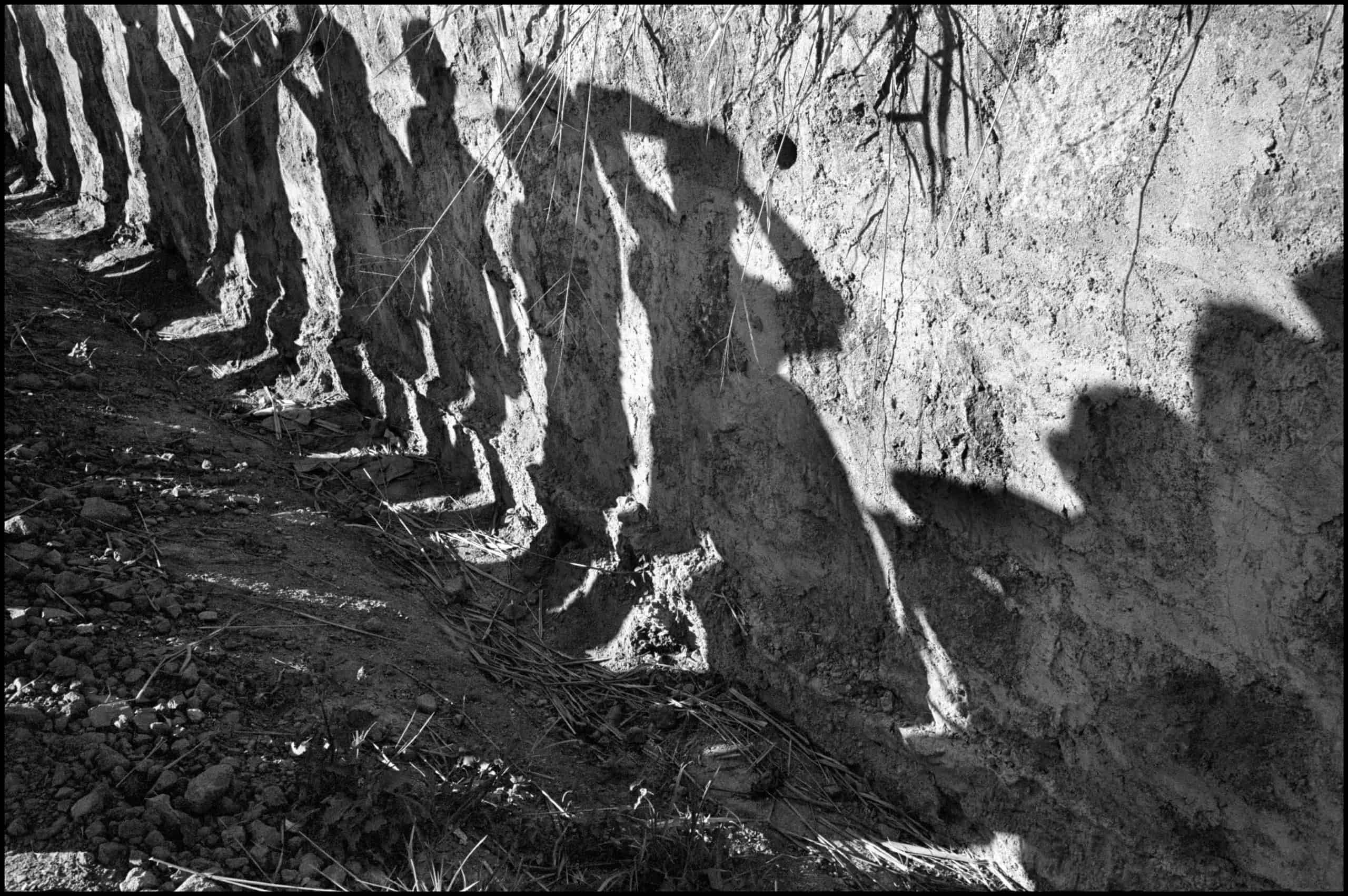 Susan Meiselas, Soldiers search bus passengers along the Northern Highway, El Salvador, 1980. © Susan Meiselas / Magnum Photos