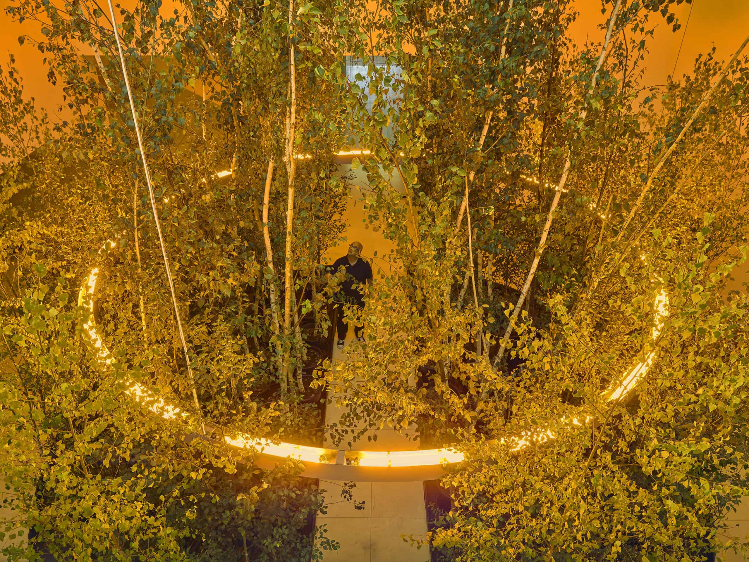 %22Olafur Eliasson: Y/our future is now%22 - exhibition, The Serralves Museum of Contemporary Art, © Filipe Braga