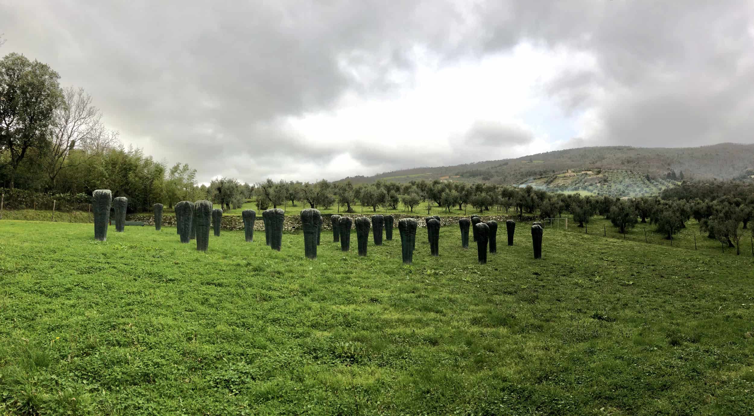 Magdalena Abakanowicz, Catharsis, 1985, The Gori Collection, photo Contemporary Lynx