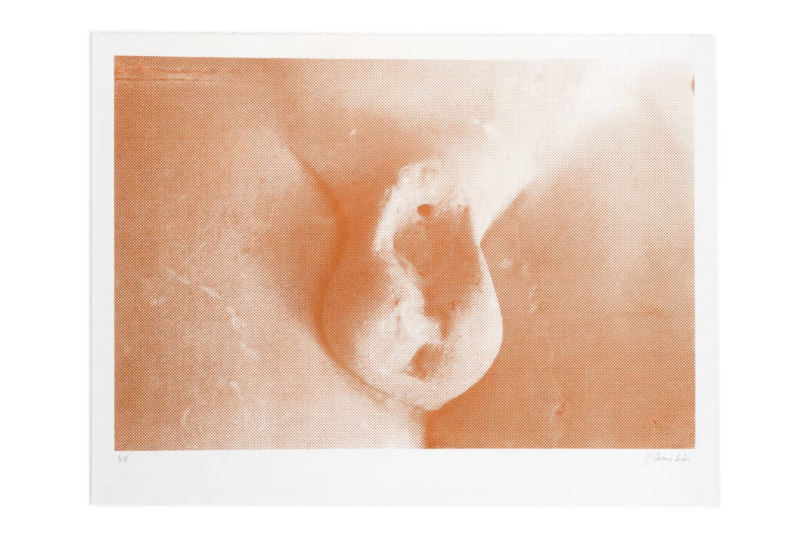 Malek Gnaoui,, SC20/broken 02, 2020, Screen-print and red brick dust on paper