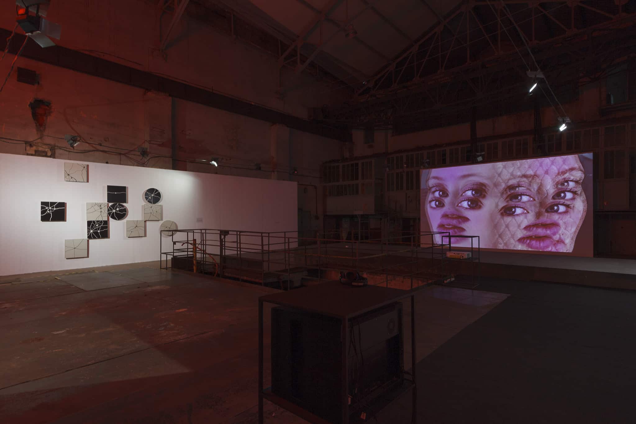 Installation view, exhibition „Fear” Arsenal Gallery power station, Bialystok, photo Maciej Zaniewski 