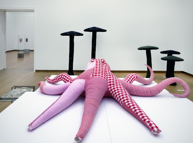 Cosima von Bonin, installation view Jump into the Future - Art from the 90's and 2000's. The Borgmann Donation. Photo: Gert Jan van Rooij