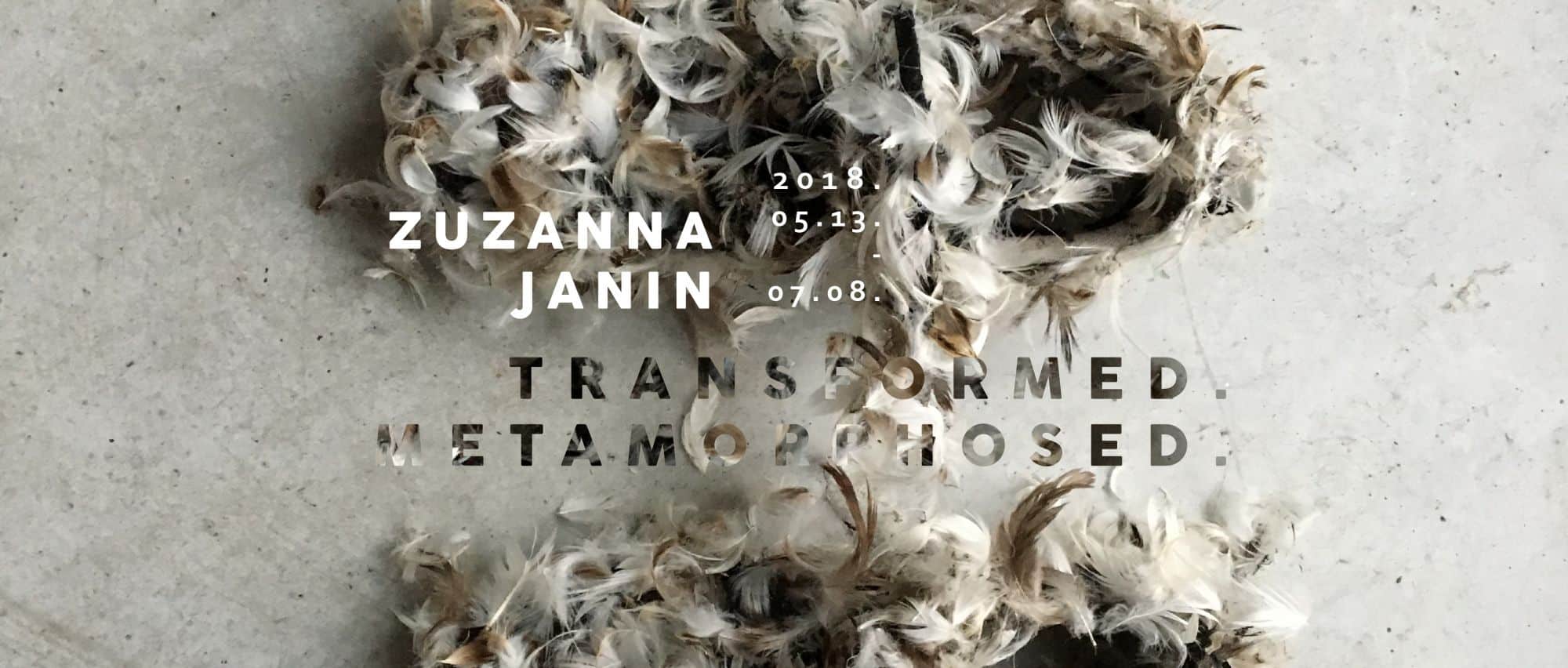 Zuzanna Janin exhibition