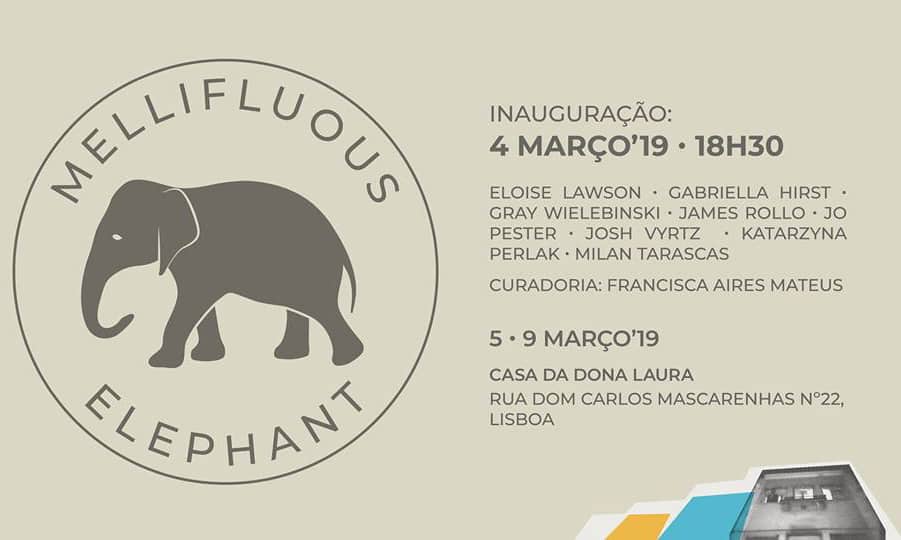 millifluous-elephant