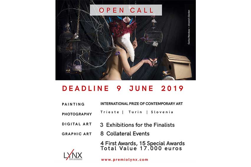 lynx art prize 2019 art competition