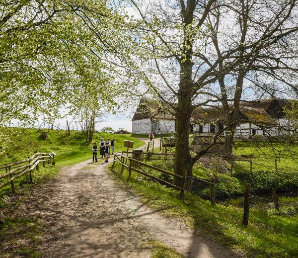 Photo: Kulturen i Lund