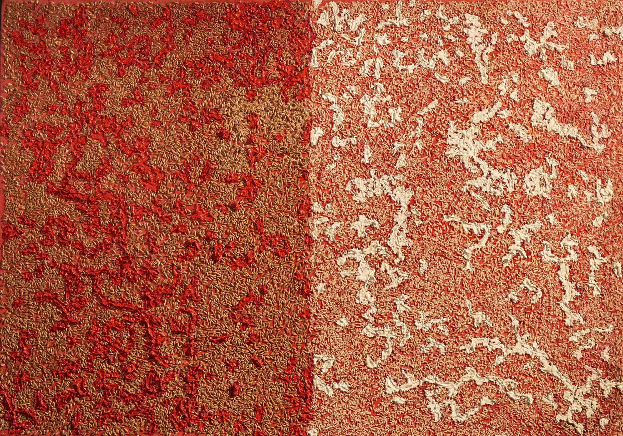 Teresa Tyszkiewicz, Grain, 1979, rice, oat, acrylic and oil on canvas, 70 x 100 cm