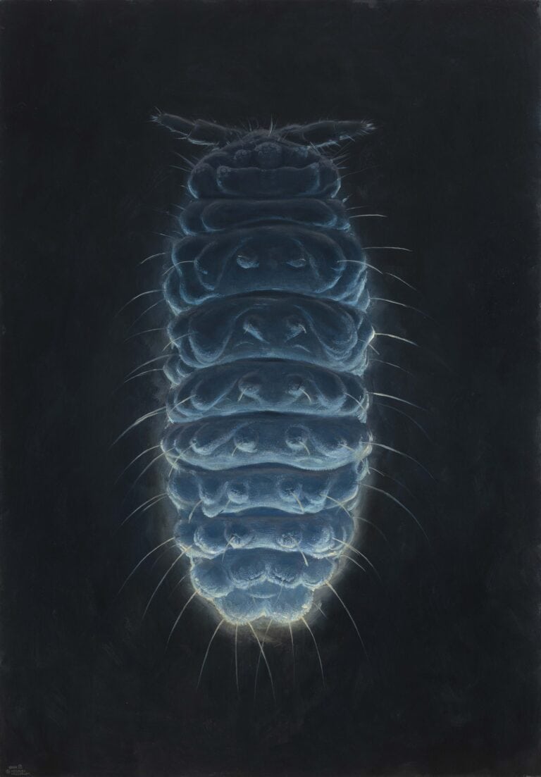 Adam Kašpar, neanura muscorum 130x90cm, oil on canvas, 2022