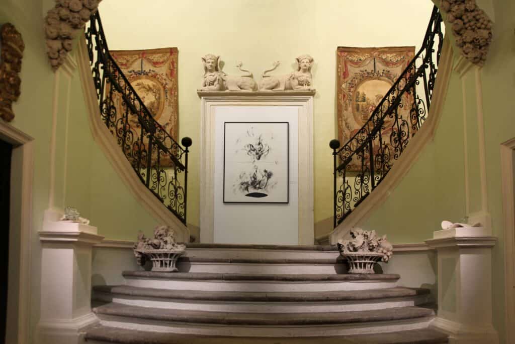 Exhibition view, charnelles interbioformae, Yosra Mojtahedi