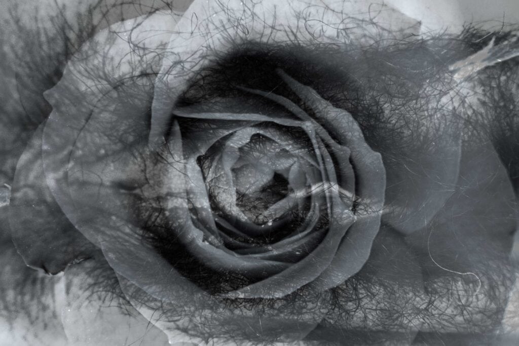 Yosra Mojtahedi, Le ciel nest pas bleu, Printed on carpet 2022 ©Adagp Fresnoy