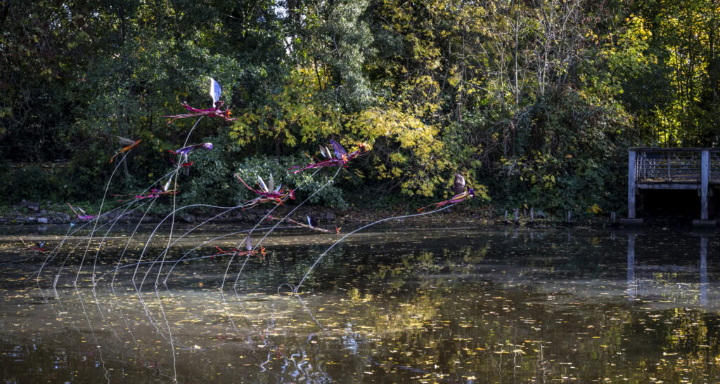 Vladimir Lalic's To Move Is To Bloom - photo by Kevin Percival
