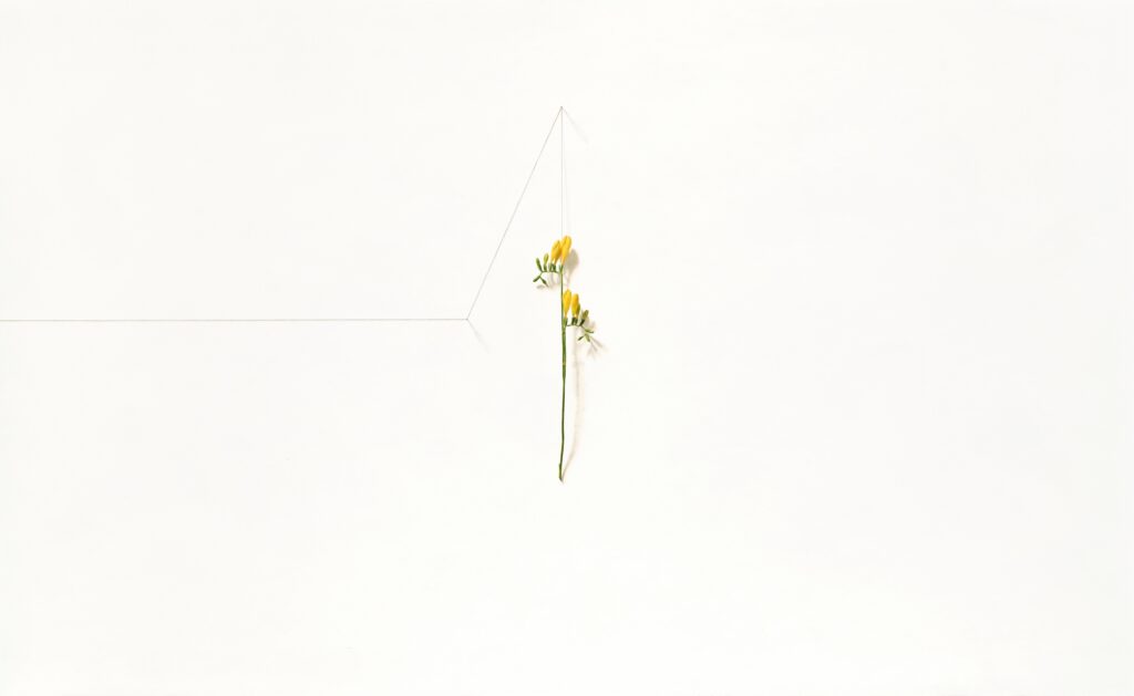 Daiya Yamamoto, Freesia, 90 x 146 cm, Oil and pencil on canvas mounted on panel. Courtesy of the artist and Galerie Taménaga