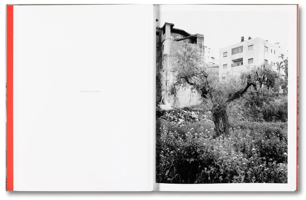 Adam Broomberg & Rafael Gonzales, Anchor in the Landscape, publisher: MACK. Courtesy of the artists