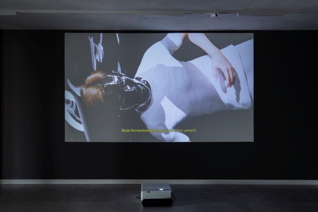 Andrzej Staniek, Absent Visitors, photo by Alicja Kielan. Courtesy of the artist.