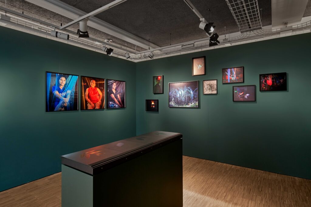 After Nature Prize exhibition, Isadora Romero, courtesy of Crespo Foundation