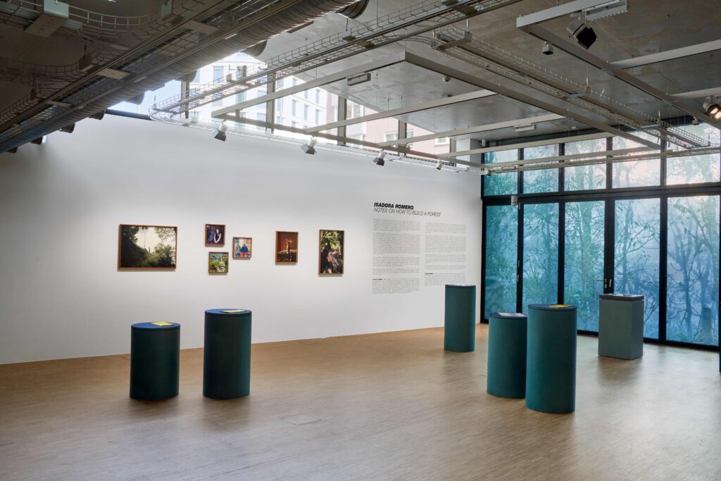 After Nature Prize exhibition, Isadora Romero, courtesy of Crespo Foundation