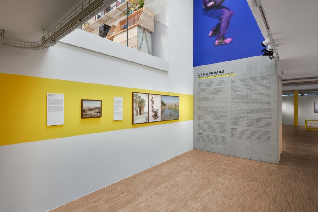 After Nature Prize exhibition, Lisa Barnard, courtesy of Crespo Foundation