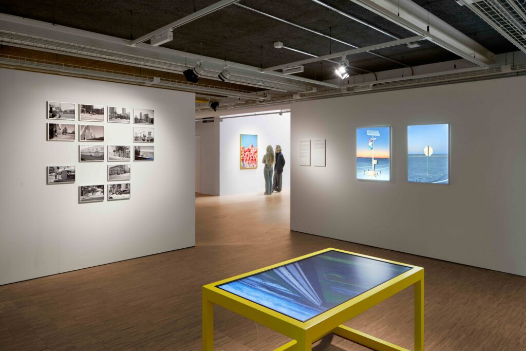 After Nature Prize exhibition, Lisa Barnard, courtesy of Crespo Foundation.