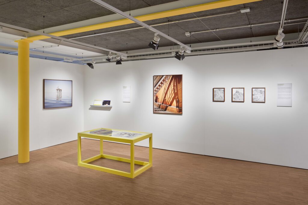 After Nature Prize exhibition, Lisa Barnard, courtesy of Crespo Foundation.