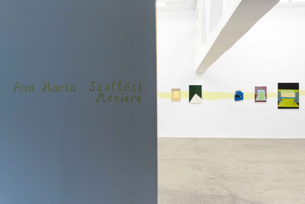 Ana Maria Szőllősi, Ménière, Kunsthalle Bega, exhibition view. Photo by Vlad Cîndea