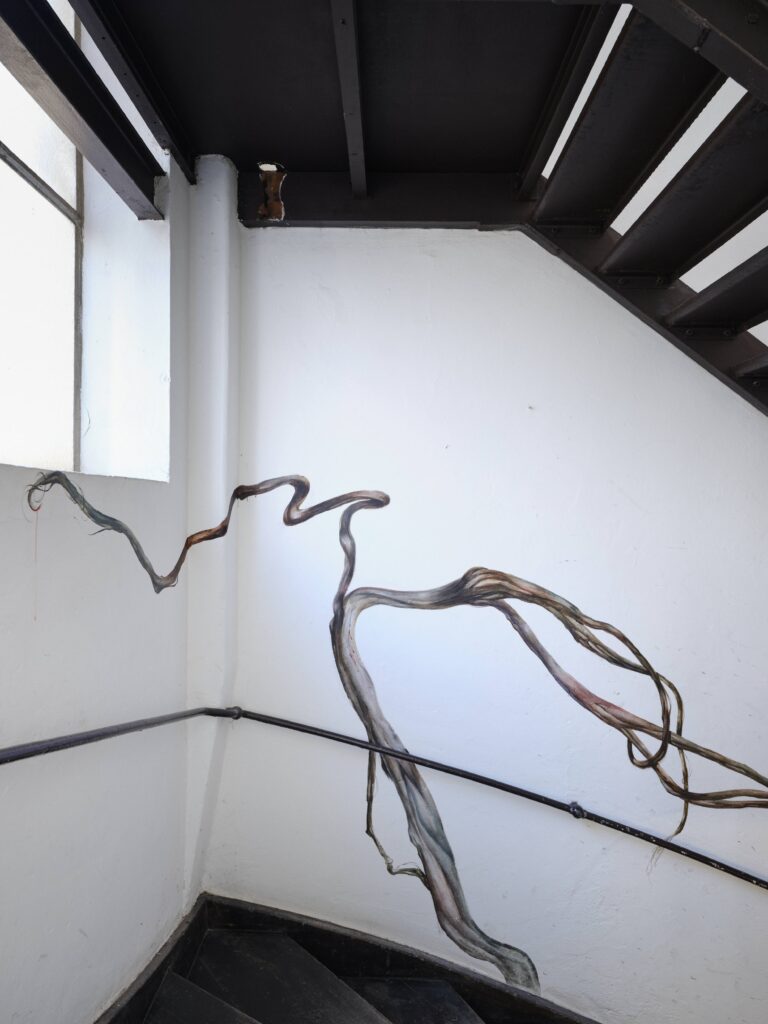Karina Synytsia, дикий виноград (Wild grapevine), wall painting, acrylic, 2026. Photo: Christian Kain. Courtesy of the artist.