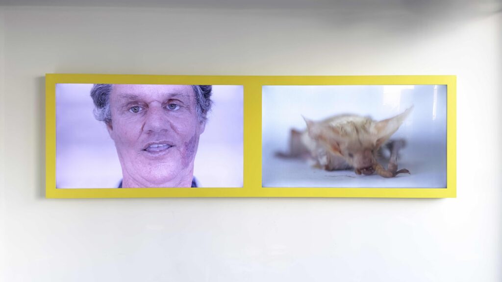 Lisa Barnard, You Only Look Once, After Nature. Ulrike Crespo Photography Prize 25 exhibition, 2026. Photo by Alex Mirutziu.