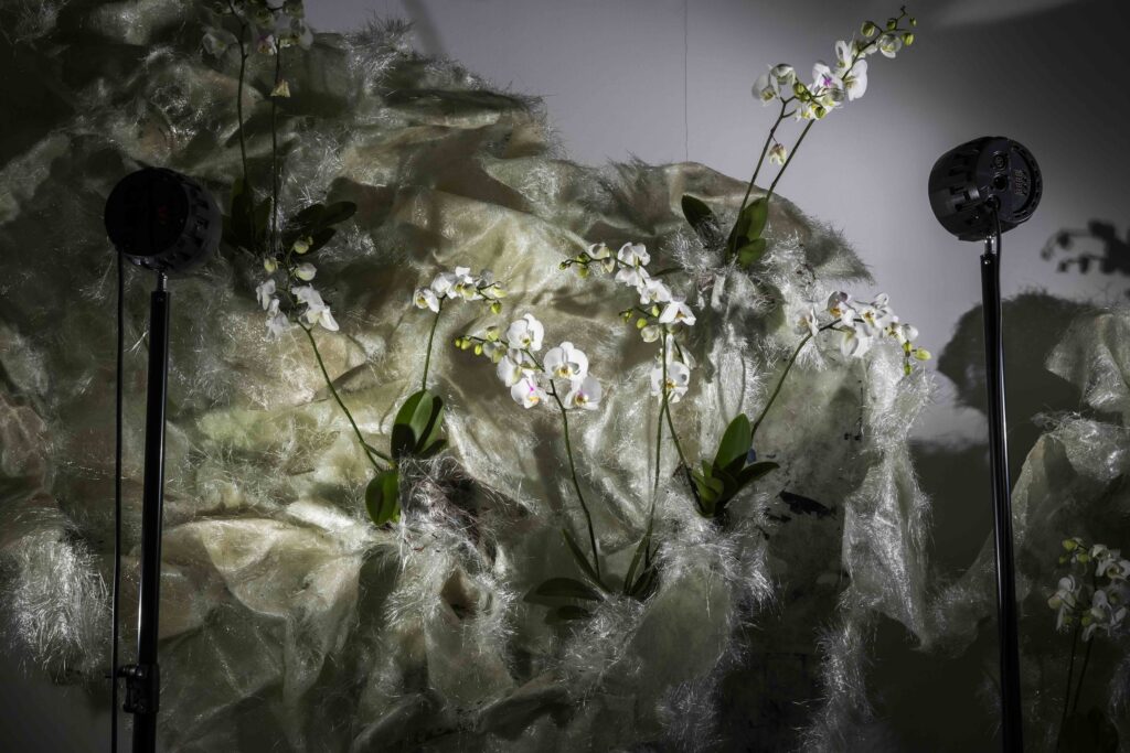 Marek Wodzisławski, C.I.4517 Vertical Garden, photo by Filip Preis. Courtesy of BWA Wrocław