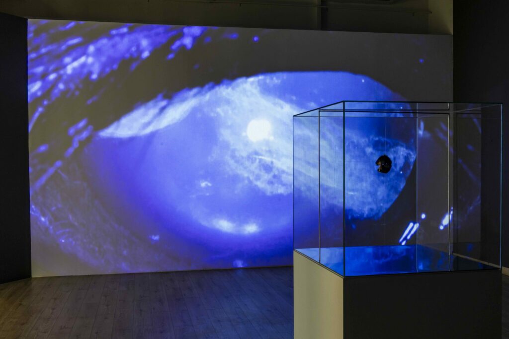 Marek Wodzisławski, Cosmic Eye. POV, photo by Filip Preis. Courtesy of BWA Wrocław