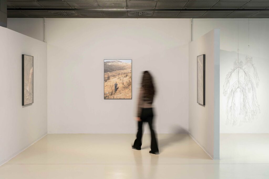 Nona Inescu, Afterlife – Still Life, 2026, exhibition view. Photo by Andrei Infinit, courtesy of Art Encounters Foundation.
