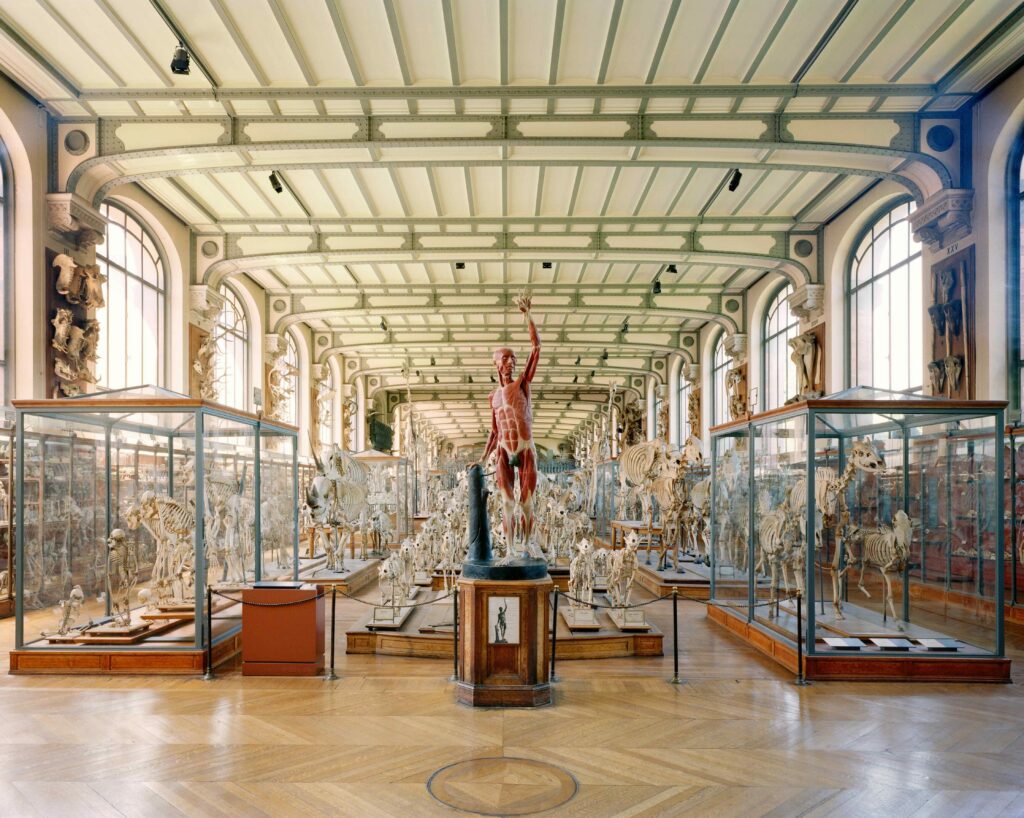 Fotofestiwal 2026, Richard Barnes, Main Programme, Animal Logic